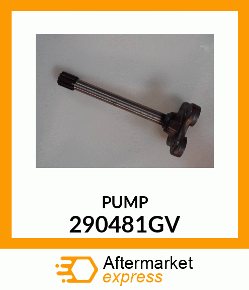 PUMP 290481GV