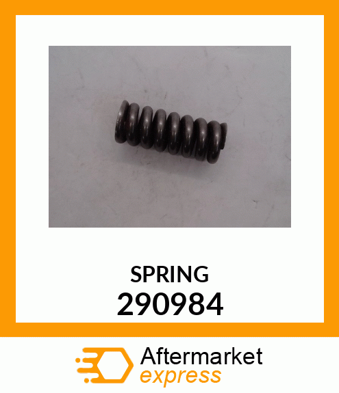 SPRING 290984