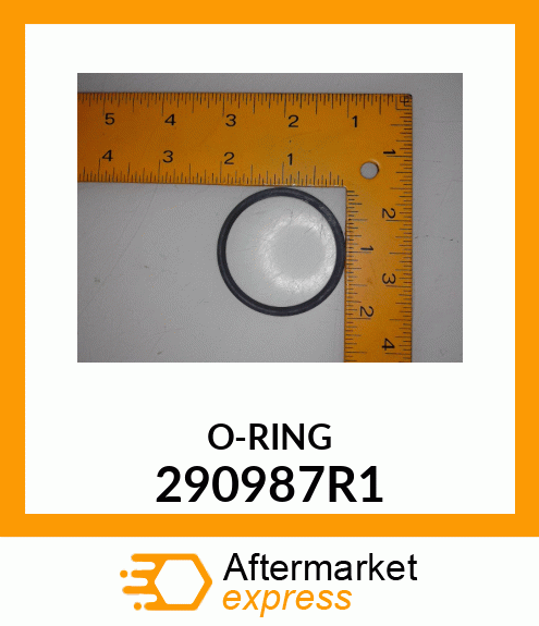 ORING 290987R1