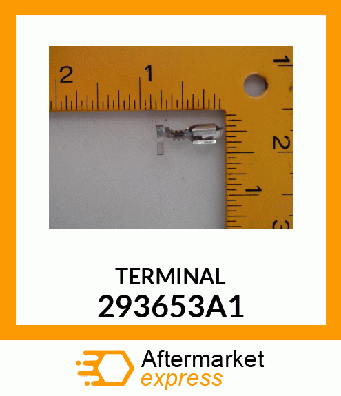 TERMINAL 293653A1