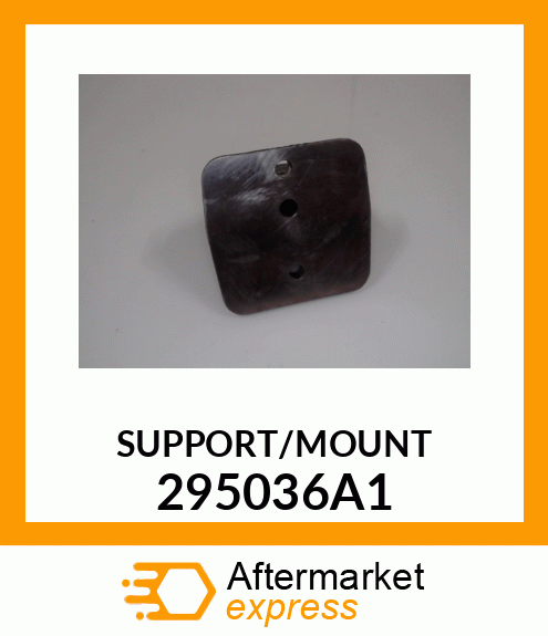 SUPPORT/MOUNT 295036A1