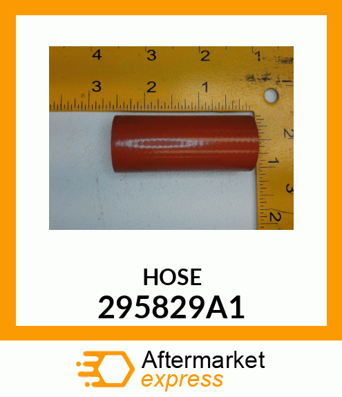 HOSE 295829A1