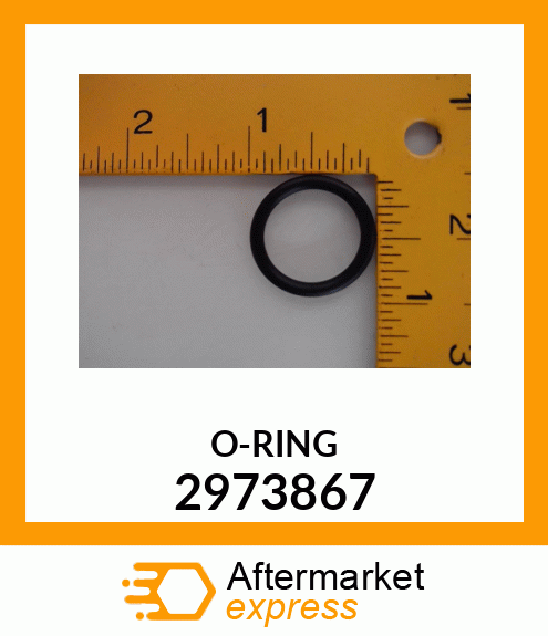 O-RING 2973867