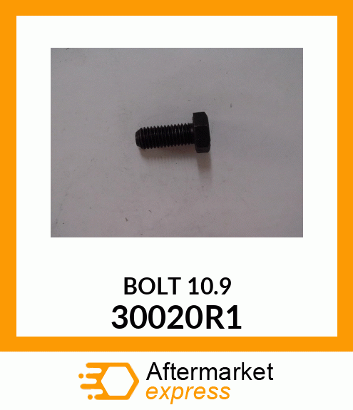 BOLT_10.9 30020R1