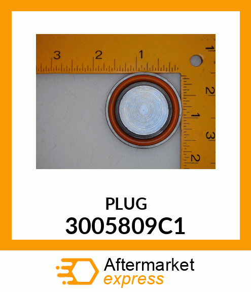 PLUG 3005809C1