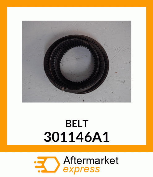 BELT 301146A1