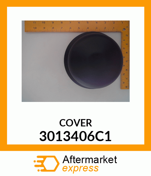 COVER 3013406C1