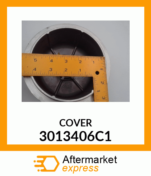 COVER 3013406C1