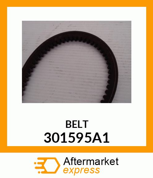 BELT 301595A1