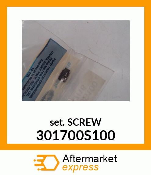 SETSCREW 301700S100