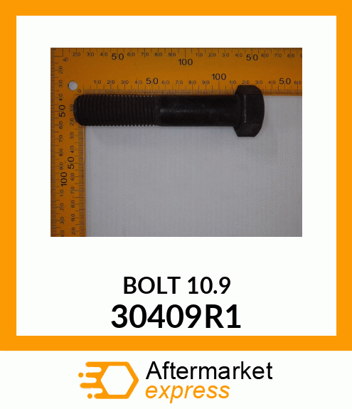 BOLT10.9 30409R1