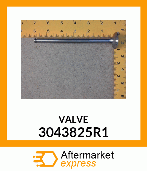 VALVE 3043825R1