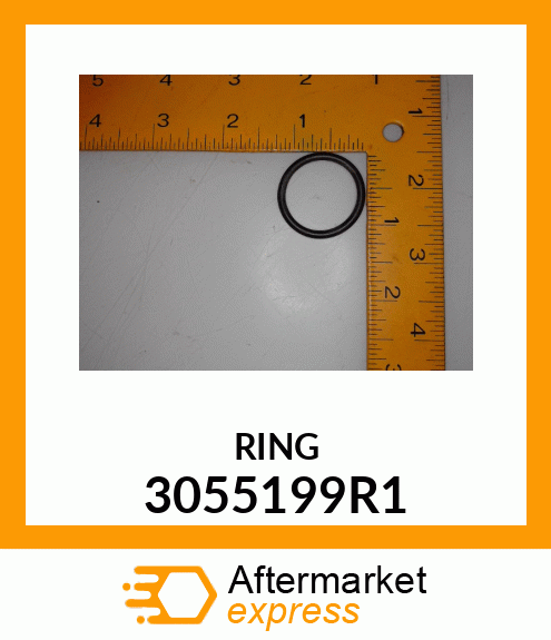 RING 3055199R1