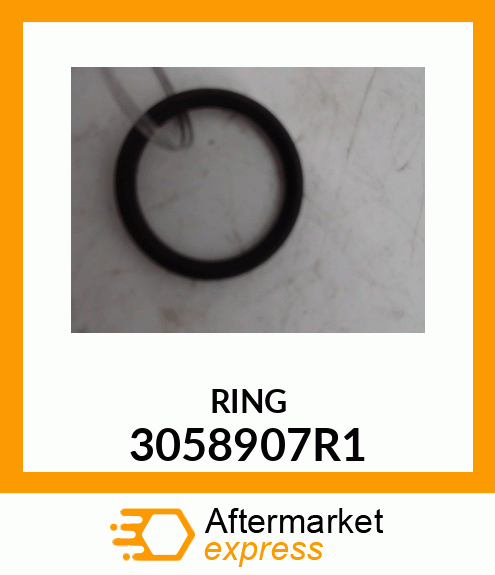 RING 3058907R1