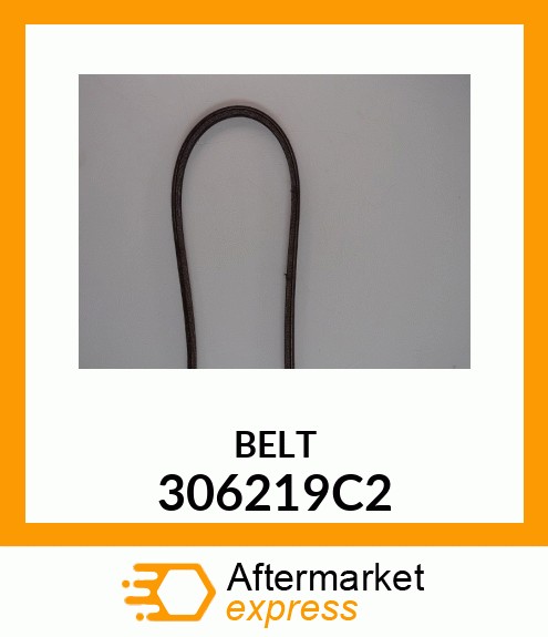 BELT 306219C2