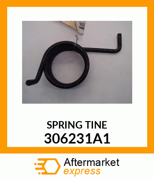 TINE 306231A1