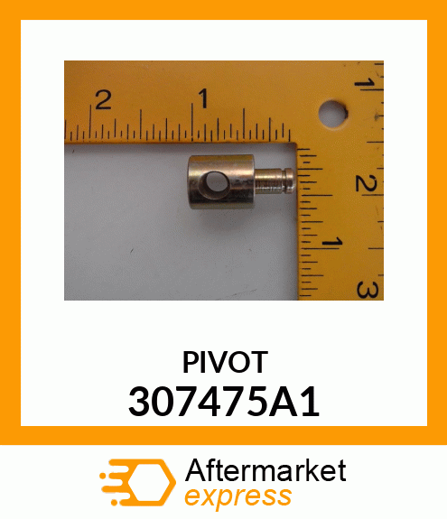 PIVOT 307475A1