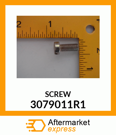 SCREW 3079011R1