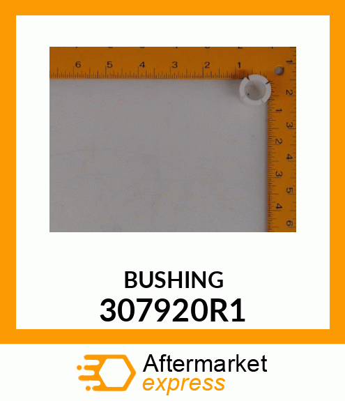 BUSHING 307920R1