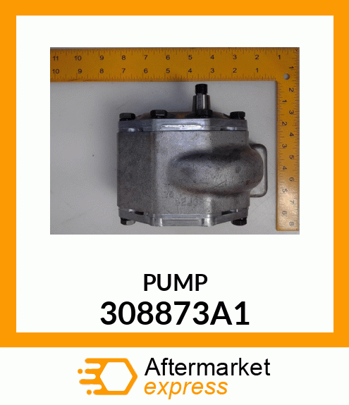 PUMP 308873A1