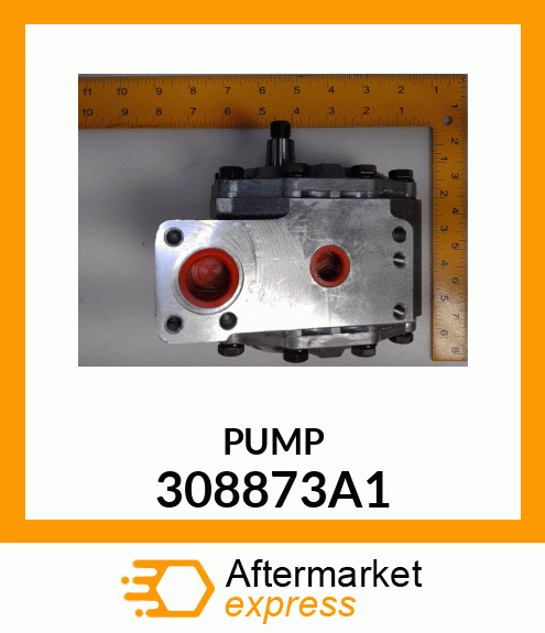 PUMP 308873A1