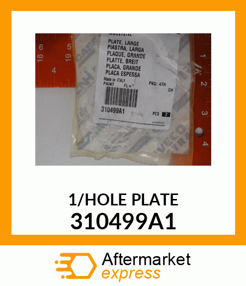 1HOLEPLATE 310499A1