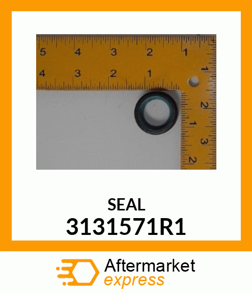 SEAL 3131571R1