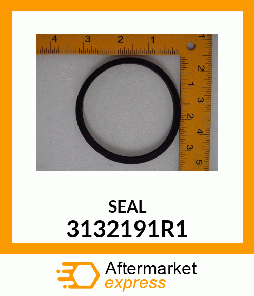 SEAL 3132191R1