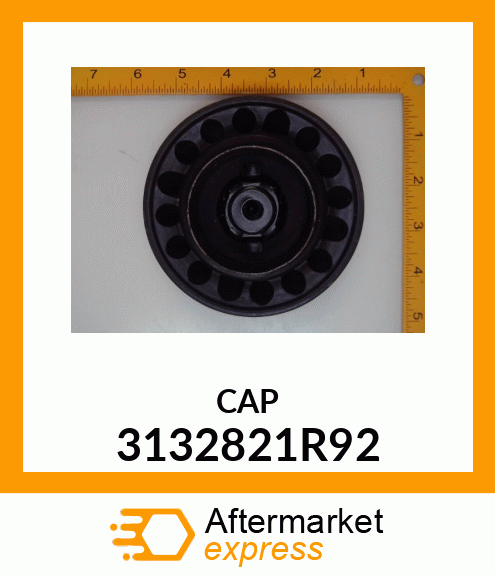 CAP 3132821R92