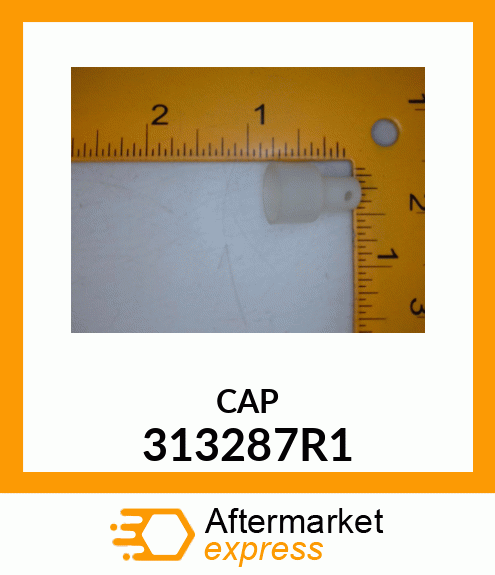 CAP 313287R1