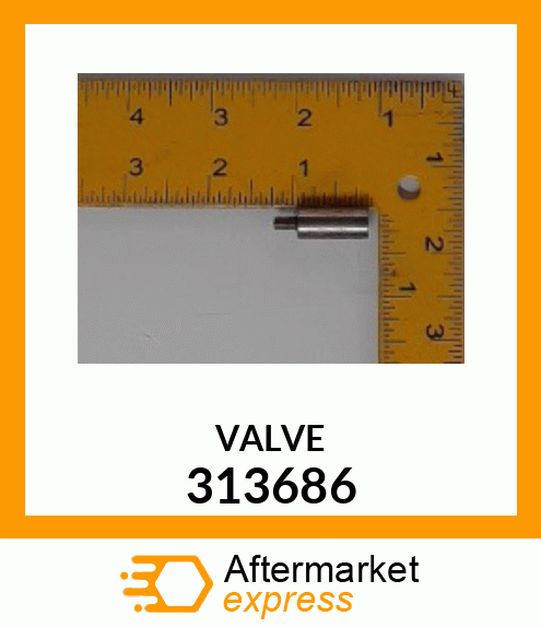 VALVE 313686