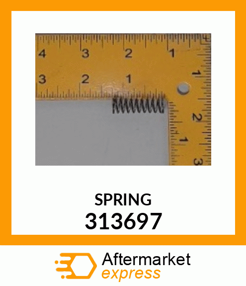 SPRING 313697