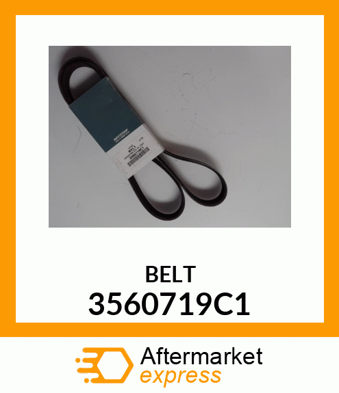 BELT 3560719C1