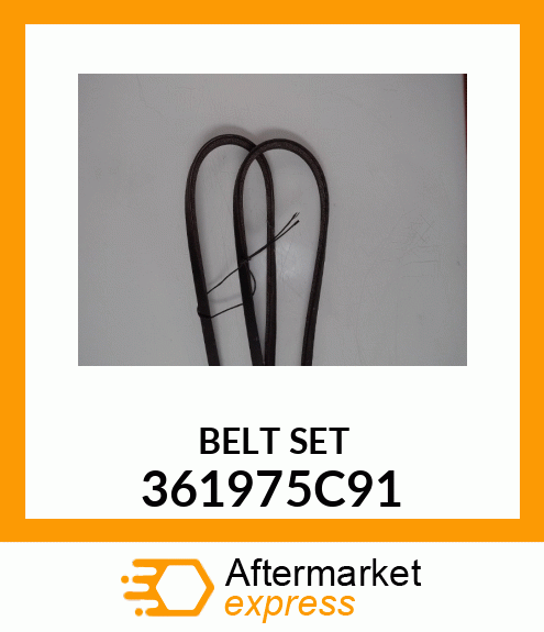 BELT 361975C91