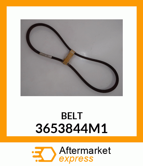 BELT 3653844M1