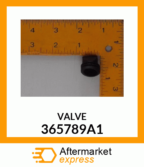 VALVE 365789A1