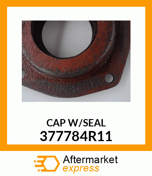 CAPW/SEAL 377784R11