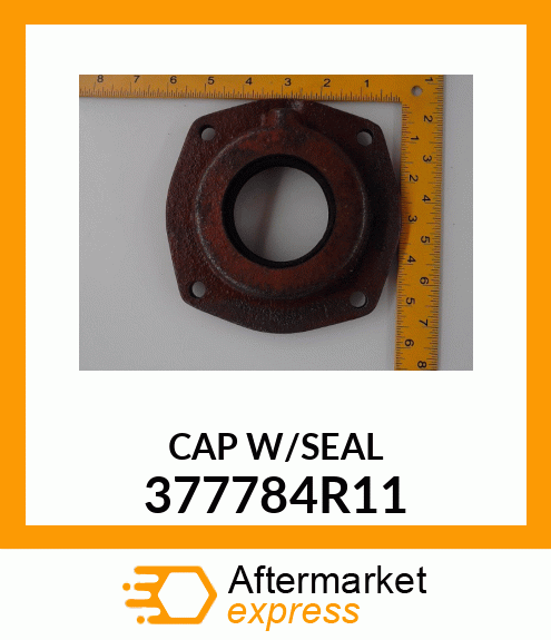 CAPW/SEAL 377784R11