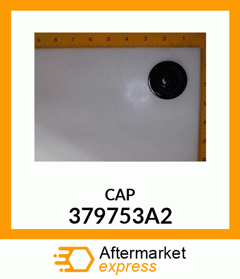 CAP 379753A2