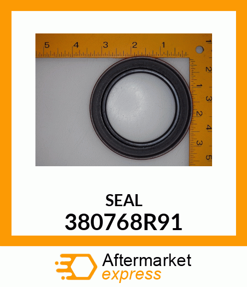 SEAL 380768R91