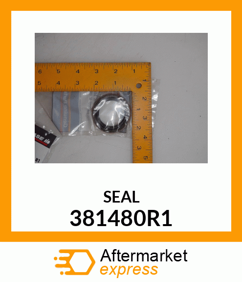 SEAL 381480R1