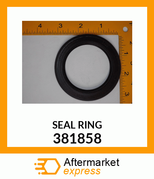 SEALRING 381858