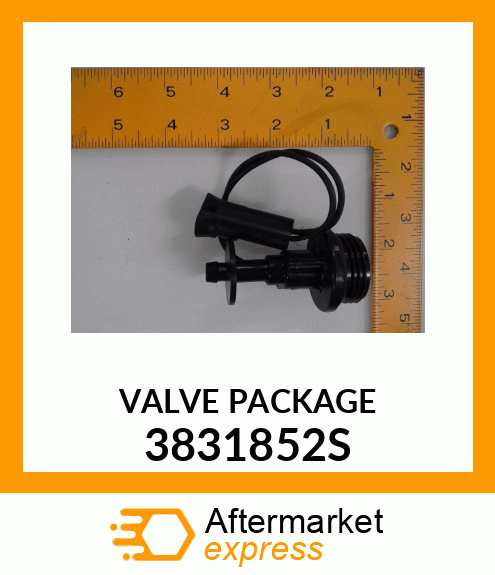 VALVE_PACKAGE 3831852S