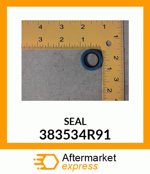 SEAL 383534R91