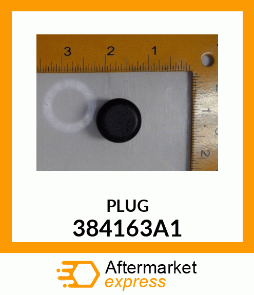 PLUG 384163A1