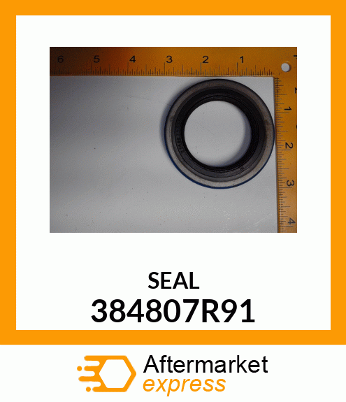 SEAL 384807R91