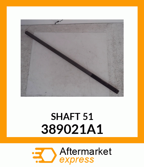 SHAFT_51 389021A1