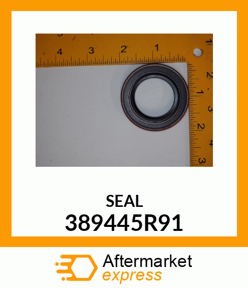 SEAL 389445R91