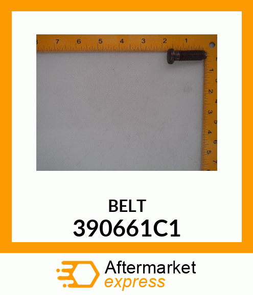 BELT 390661C1