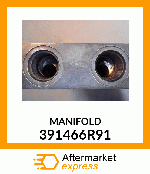 MANIFOLD 391466R91